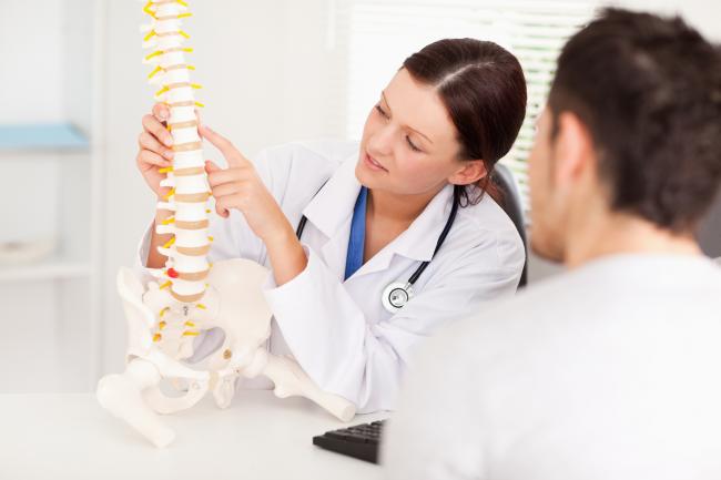 chiropractor showing model of the spine in Anchorage, AK